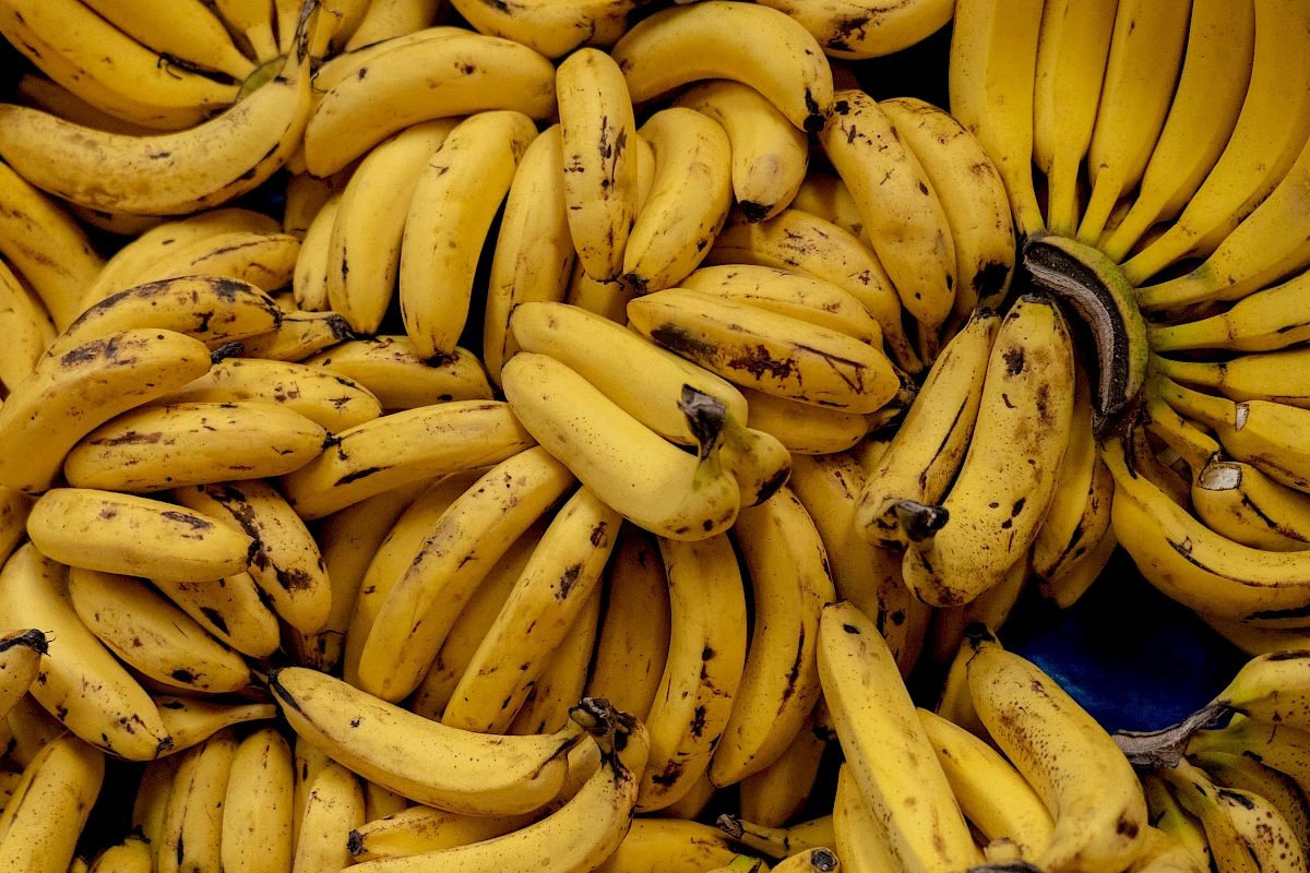 Reise der Banane
